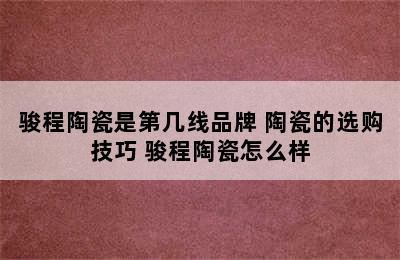 骏程陶瓷是第几线品牌 陶瓷的选购技巧 骏程陶瓷怎么样